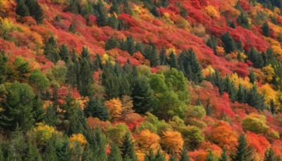 outdoors,day,tree,no humans,leaf,traditional media,grass,nature,scenery,forest,painting (medium),autumn leaves,autumn,plant,green theme