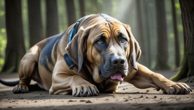 HQ,solo,brown eyes,tail,full body,outdoors,day,tongue,tongue out,blurry,collar,tree,no humans,saliva,depth of field,blurry background,animal,sunlight,nature,claws,forest,dog,realistic,leash,animal focus,animal collar,pet,open mouth