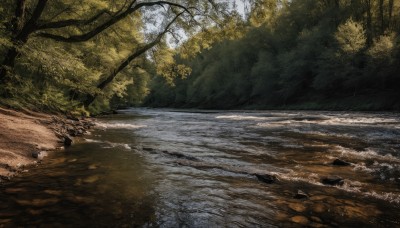 outdoors,day,water,tree,no humans,sunlight,grass,nature,scenery,forest,rock,road,river,signature,realistic,landscape