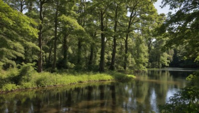 outdoors,sky,day,cloud,water,tree,blue sky,no humans,sunlight,grass,nature,scenery,forest,reflection,rock,bush,river,reflective water,flower,plant,landscape,lake