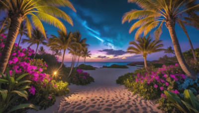 flower, outdoors, sky, cloud, tree, no humans, night, ocean, beach, plant, star (sky), night sky, scenery, starry sky, sunset, palm tree, horizon, bush, shooting star