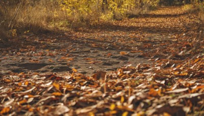 outdoors,day,water,blurry,tree,no humans,depth of field,leaf,traditional media,grass,nature,scenery,forest,autumn leaves,river,autumn,orange theme,from above,sunlight,plant,road,field