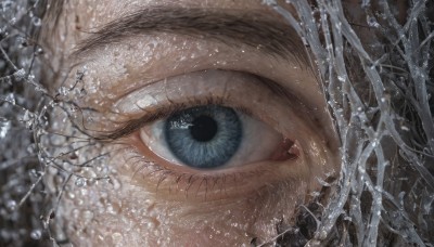 1girl,solo,looking at viewer,blue eyes,brown hair,water,lips,eyelashes,portrait,close-up,reflection,realistic,eye focus,fang,blurry,tree,water drop,branch