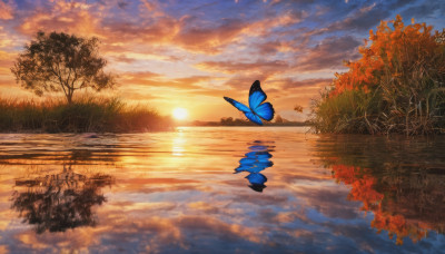 outdoors, sky, cloud, water, tree, dutch angle, no humans, cloudy sky, bug, butterfly, nature, scenery, reflection, sunset, sun, autumn leaves, blue butterfly, reflective water