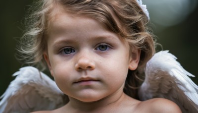 1girl,solo,looking at viewer,short hair,blonde hair,brown hair,closed mouth,wings,blurry,lips,grey eyes,expressionless,messy hair,child,portrait,feathered wings,androgynous,freckles,angel wings,realistic,white wings,angel,hair ornament,black background,close-up