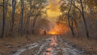 solo,1boy,standing,weapon,outdoors,sky,sword,cloud,water,cape,tree,sunlight,nature,scenery,1other,forest,walking,sunset,sun,silhouette,bare tree,ambiguous gender,male focus,ocean,cloudy sky,fire,landscape,orange sky