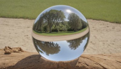 outdoors,sky,day,tree,cup,no humans,grass,nature,scenery,forest,reflection,rock,still life,blurry,blue sky,blurry background,shadow,ball,realistic,road