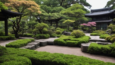 outdoors,day,tree,no humans,grass,cherry blossoms,building,nature,scenery,forest,rock,stairs,road,bush,torii,architecture,east asian architecture,shrine,path,stone lantern,real world location,sky,plant