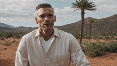 solo,looking at viewer,short hair,shirt,black hair,long sleeves,1boy,closed mouth,white shirt,upper body,male focus,outdoors,sky,day,collared shirt,cloud,black eyes,tree,dress shirt,buttons,facial hair,cloudy sky,beard,pocket,mountain,realistic,mustache,palm tree,stubble,breast pocket,old,old man,photo background,dark skin,blue sky,scar,parody,expressionless,dark-skinned male,grass,scar on face,dirty