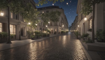 outdoors,sky,water,tree,no humans,window,night,plant,building,star (sky),night sky,scenery,starry sky,reflection,door,potted plant,light,road,lamp,bush,house,lamppost,street,pavement