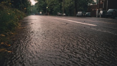 outdoors,blurry,tree,no humans,night,ground vehicle,scenery,motor vehicle,realistic,car,road,bush,lamppost,street,photo background,real world location,day,depth of field,blurry background