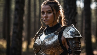 1girl,solo,long hair,looking at viewer,brown hair,brown eyes,closed mouth,upper body,ponytail,braid,armor,blurry,lips,dutch angle,blurry background,shoulder armor,pauldrons,breastplate,realistic,nose,chainmail,plate armor,black hair,sunlight,freckles