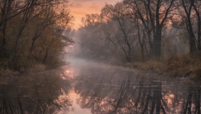 outdoors,sky,cloud,tree,dutch angle,no humans,sunlight,grass,building,nature,scenery,forest,reflection,sunset,road,bare tree,landscape,fog,path,water,leaf,cloudy sky,river,lake,reflective water