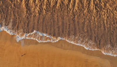 outdoors,day,water,tree,no humans,traditional media,beach,nature,scenery,forest,sand,shore,footprints,ocean,from above,waves,orange theme