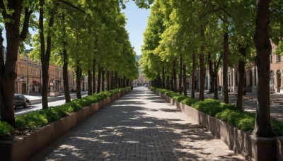 outdoors,sky,day,cloud,tree,blue sky,no humans,shadow,sunlight,grass,plant,ground vehicle,building,nature,scenery,motor vehicle,forest,city,car,road,bush,shade,dappled sunlight,lamppost,street,path,pavement,crosswalk,real world location,sidewalk,tree shade