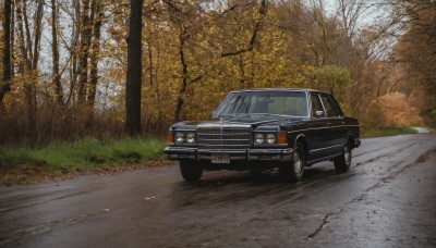 outdoors,day,tree,no humans,grass,ground vehicle,nature,scenery,motor vehicle,forest,car,road,vehicle focus,sports car,realistic