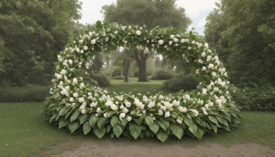 flower,outdoors,sky,day,tree,no humans,leaf,sunlight,grass,plant,white flower,nature,scenery,forest,road,bush,green theme,path,cloud