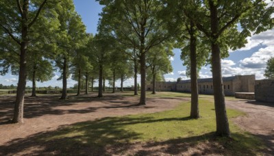 outdoors,sky,day,cloud,tree,blue sky,no humans,shadow,cloudy sky,grass,building,nature,scenery,forest,road,bush,house,path,fence,shade,dappled sunlight,tree shade