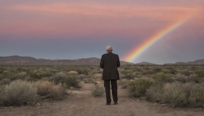 solo,short hair,long sleeves,1boy,standing,jacket,full body,white hair,male focus,outdoors,sky,shoes,pants,cloud,from behind,black footwear,coat,black jacket,black pants,grass,scenery,black coat,mountain,facing away,field,wide shot,rainbow,mountainous horizon,grey hair,day,blue sky