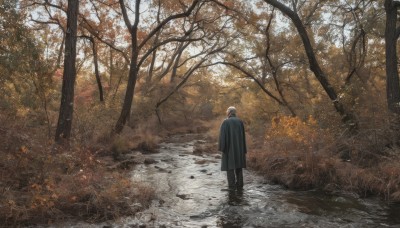 solo,short hair,long sleeves,1boy,standing,male focus,outdoors,day,pants,from behind,black footwear,tree,coat,leaf,black pants,grass,nature,scenery,forest,facing away,autumn leaves,wide shot,autumn,1girl,white hair,sunlight,rock