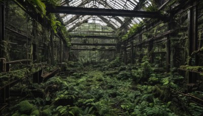 outdoors,day,indoors,tree,dutch angle,no humans,leaf,plant,nature,scenery,ruins,vines,green theme,moss,overgrown,post-apocalypse,broken window,window,ground vehicle,rock