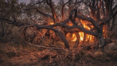 outdoors,sky,tree,no humans,grass,fire,nature,scenery,forest,fantasy,bare tree,plant,sunset,branch,landscape,orange theme