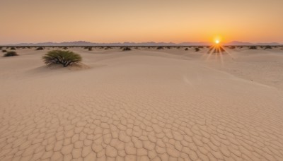 outdoors,sky,cloud,water,tree,no humans,ocean,beach,grass,scenery,sunset,sand,sun,horizon,shore,orange sky,desert,plant,lens flare,palm tree,gradient sky