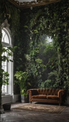 day,artist name,indoors,signature,tree,no humans,window,chair,table,sunlight,plant,scenery,couch,wooden floor,potted plant,carpet,rug,leaf