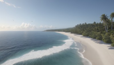 outdoors,sky,day,cloud,water,tree,blue sky,no humans,shadow,bird,ocean,beach,grass,nature,scenery,rock,sand,palm tree,horizon,waves,shore,forest,island