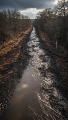 outdoors,sky,day,cloud,water,tree,no humans,sunlight,cloudy sky,nature,scenery,forest,reflection,light rays,bare tree,river,landscape,lake,grass,road,puddle,path