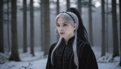 1girl,solo,long hair,blue eyes,black hair,hair ornament,dress,jewelry,closed mouth,upper body,ponytail,white hair,multicolored hair,outdoors,blurry,black dress,two-tone hair,tree,lips,grey eyes,depth of field,blurry background,looking away,chinese clothes,tiara,nature,snow,forest,snowing,realistic,winter,grey hair,high ponytail,nose