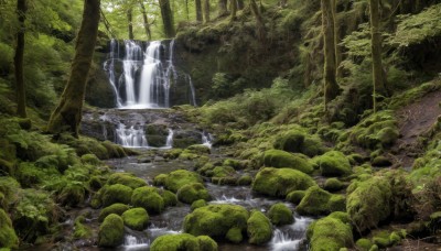 outdoors,day,water,tree,no humans,nature,scenery,forest,rock,river,waterfall,moss,stream,artist name,signature,sunlight,green theme,landscape