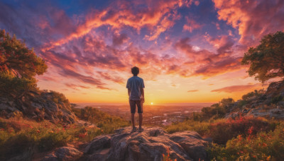 solo, shirt, black hair, 1boy, standing, white shirt, flower, short sleeves, male focus, outdoors, sky, shorts, cloud, from behind, tree, ocean, black shorts, cloudy sky, grass, nature, scenery, sunset, rock, horizon, facing away, male child