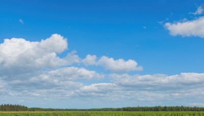 outdoors,sky,day,cloud,tree,blue sky,no humans,cloudy sky,grass,nature,scenery,forest,field,summer,cumulonimbus cloud