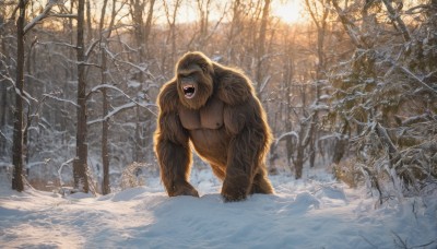 open mouth,outdoors,teeth,day,tree,no humans,fangs,sunlight,nature,scenery,snow,forest,snowing,realistic,winter,bare tree,monkey,solo,all fours,monster,horror (theme)