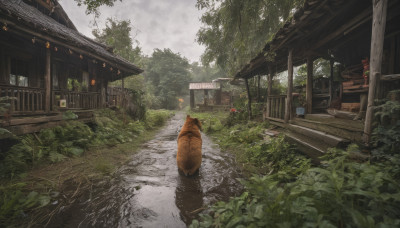 outdoors, sky, day, cloud, tree, no humans, animal, grass, plant, building, nature, scenery, architecture, house, east asian architecture, tanuki