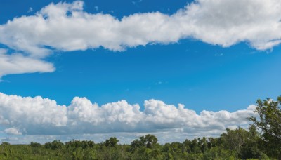 outdoors,sky,day,cloud,tree,blue sky,no humans,cloudy sky,grass,nature,scenery,forest,bird,horizon,landscape