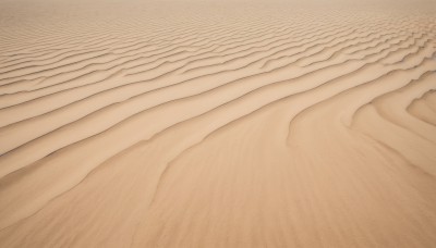 monochrome,outdoors,no humans,traditional media,beach,scenery,sand,sepia,desert,solo,close-up,brown theme,still life