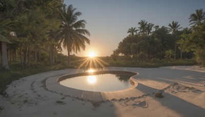 outdoors,sky,day,water,tree,no humans,shadow,beach,sunlight,grass,plant,nature,scenery,sunset,sign,sand,palm tree,sun,road,bush,cloud,blue sky,forest,reflection,desert