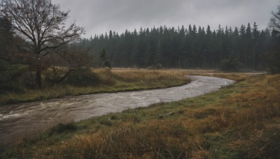 outdoors,sky,day,cloud,water,tree,no humans,cloudy sky,grass,nature,scenery,forest,road,bare tree,river,landscape,fog,grey sky,path,overcast,realistic,field