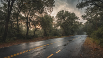 outdoors, sky, day, cloud, tree, no humans, sunlight, cloudy sky, grass, nature, scenery, forest, road, bush, path