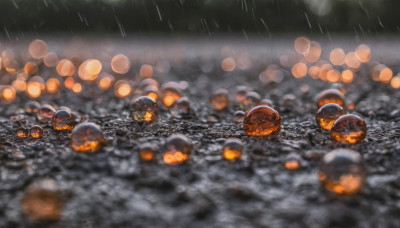 outdoors, blurry, no humans, night, depth of field, scenery, rain, bokeh