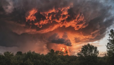 outdoors,sky,cloud,tree,no humans,cloudy sky,grass,fire,nature,scenery,forest,sunset,red sky,smoke