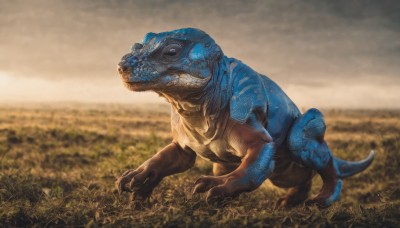 solo,standing,tail,full body,outdoors,sky,teeth,day,cloud,signature,blurry,pokemon (creature),no humans,blurry background,cloudy sky,grass,claws,realistic,dinosaur,blue eyes,sharp teeth,turtle