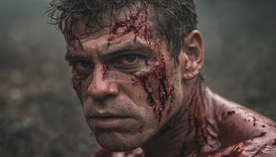 solo,looking at viewer,short hair,black hair,1boy,closed mouth,grey hair,male focus,blurry,black eyes,grey eyes,blood,blurry background,scar,portrait,veins,injury,blood on face,realistic,grey background,facial hair,close-up,serious,manly