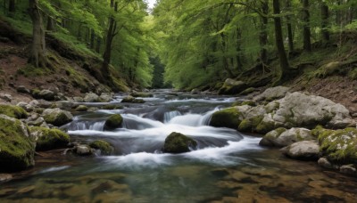 outdoors,day,water,tree,no humans,plant,nature,scenery,forest,rock,river,waterfall,landscape,moss,stream,signature,sunlight,grass,bush