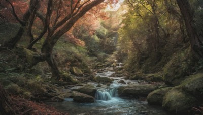 outdoors,day,artist name,signature,water,tree,no humans,leaf,sunlight,nature,scenery,forest,rock,autumn leaves,river,waterfall,landscape,moss,stream,light rays,branch