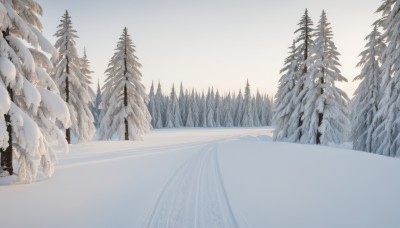 1girl,solo,outdoors,sky,day,tree,no humans,nature,scenery,snow,forest,mountain,winter,bare tree,pine tree,blue sky,landscape