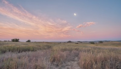 outdoors,sky,day,cloud,tree,blue sky,no humans,moon,cloudy sky,grass,nature,scenery,sunset,mountain,horizon,field,crescent moon,evening,landscape,mountainous horizon,gradient sky,hill,night