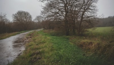 outdoors,sky,day,cloud,tree,no humans,cloudy sky,grass,nature,scenery,forest,rock,road,bare tree,river,landscape,fog,grey sky,path,water,field